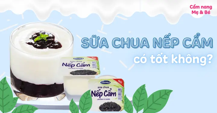 Sữa Chua Nếp Cẩm: Khám Phá Lợi Ích Sức Khỏe Toàn Diện & Cách Dùng Chuẩn Sữa Chua Nếp Cẩm: Khám Phá Lợi Ích Sức Khỏe Toàn Diện & Cách Dùng Chuẩn