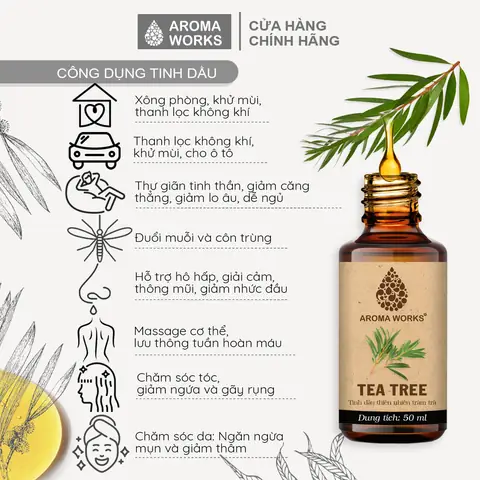 Lợi Ích Của Tinh Dầu Tràm: Toàn Diện Cho Sức Khỏe Và Chăm Sóc Gia Đình