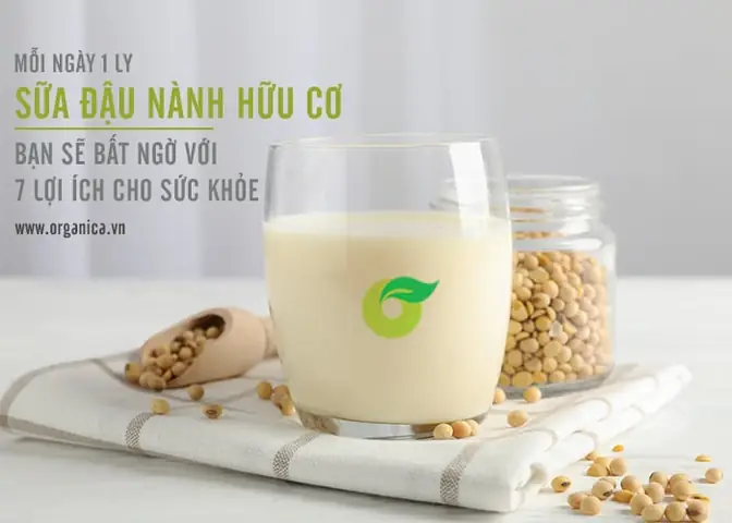 Uống Sữa Đậu Nành Mỗi Ngày: Lợi Ích Bất Ngờ Cho Sức Khỏe Và Lưu Ý Quan Trọng