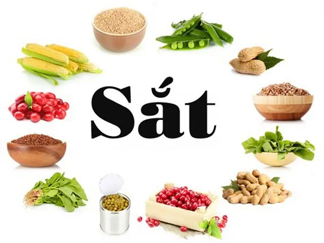 Mang Bầu Tháng Đầu Nên Ăn Gì Tốt Nhất Cho Mẹ Và Thai Nhi?