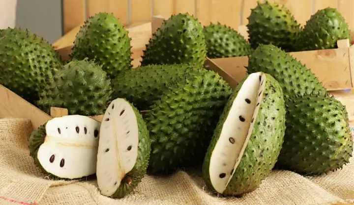 Bà Bầu Ăn Mãng Cầu Gai Có Tốt Không? Lợi Ích, Cách Ăn Và Lưu Ý