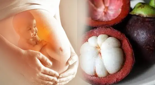 Bà Bầu Ăn Măng Cụt Được Không? Lợi Ích & Lưu Ý An Toàn Bà Bầu Ăn Măng Cụt Được Không? Lợi Ích & Lưu Ý An Toàn