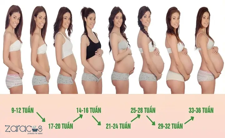 Mang Thai 1 Tháng Bụng Có To Không? Giải Đáp Chi Tiết Từ Chuyên Gia Mang Thai 1 Tháng Bụng Có To Không? Giải Đáp Chi Tiết Từ Chuyên Gia