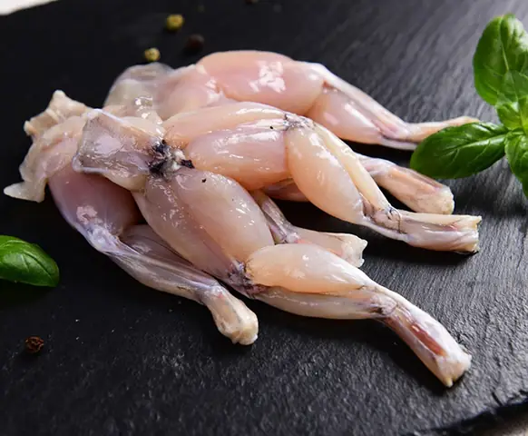 Mang Thai 3 Tháng Đầu Ăn Thịt Ếch Được Không? Lưu Ý Quan Trọng Cần Biết Mang Thai 3 Tháng Đầu Ăn Thịt Ếch Được Không? Lưu Ý Quan Trọng Cần Biết
