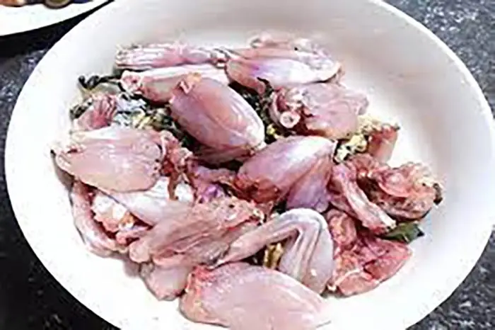 Mang Thai 3 Tháng Đầu Ăn Thịt Ếch Được Không? Lưu Ý Quan Trọng Cần Biết Mang Thai 3 Tháng Đầu Ăn Thịt Ếch Được Không? Lưu Ý Quan Trọng Cần Biết