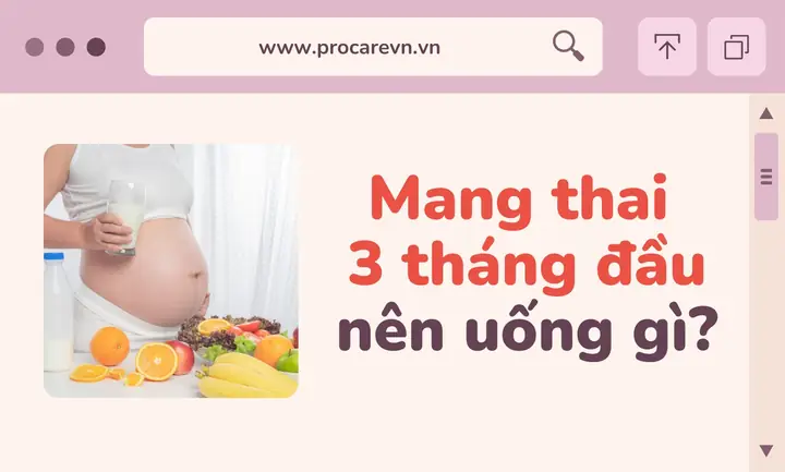 Bà Bầu Mang Thai 3 Tháng Đầu Nên Uống Nước Gì Tốt Nhất Cho Sức Khỏe Mẹ Và Bé? Bà Bầu Mang Thai 3 Tháng Đầu Nên Uống Nước Gì Tốt Nhất Cho Sức Khỏe Mẹ Và Bé?