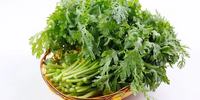 Bà Bầu Ăn Rau Tần Ô Được Không? Lợi Ích, Lưu Ý Và Cách Chế Biến Tốt Nhất Bà Bầu Ăn Rau Tần Ô Được Không? Lợi Ích, Lưu Ý Và Cách Chế Biến Tốt Nhất