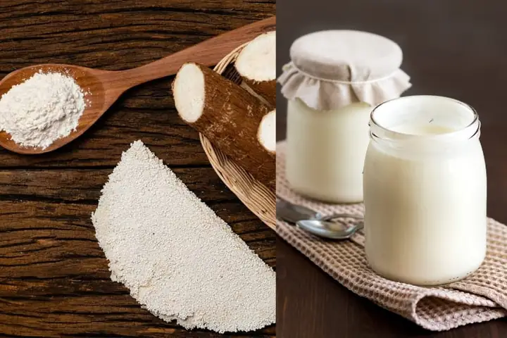Mặt Nạ Bột Sắn Dây Với Sữa Tươi: Công Thức Dưỡng Da Trắng Mịn & Trị Thâm Hiệu Quả Tại Nhà Mặt Nạ Bột Sắn Dây Với Sữa Tươi: Công Thức Dưỡng Da Trắng Mịn & Trị Thâm Hiệu Quả Tại Nhà