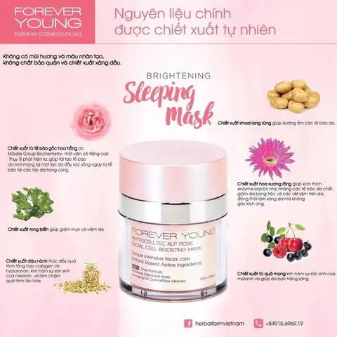 Mặt Nạ Ngủ Thái Lan: Top Lựa Chọn & Cách Chọn Phù Hợp Cho Làn Da