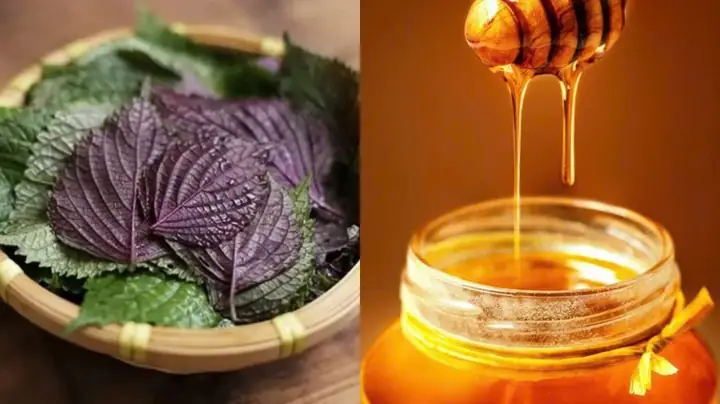 Mặt Nạ Tía Tô Mật Ong: Công Thức Dưỡng Da Sáng Mịn, Trị Mụn, Nám Hiệu Quả Tại Nhà Mặt Nạ Tía Tô Mật Ong: Công Thức Dưỡng Da Sáng Mịn, Trị Mụn, Nám Hiệu Quả Tại Nhà