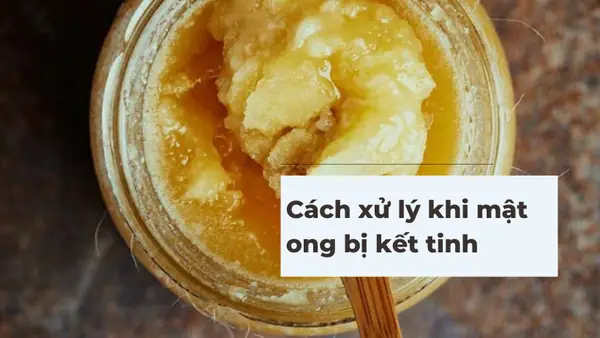 Mật Ong Có Đóng Đường Không: Giải Mã Hiện Tượng Tự Nhiên & Cách Xử Lý