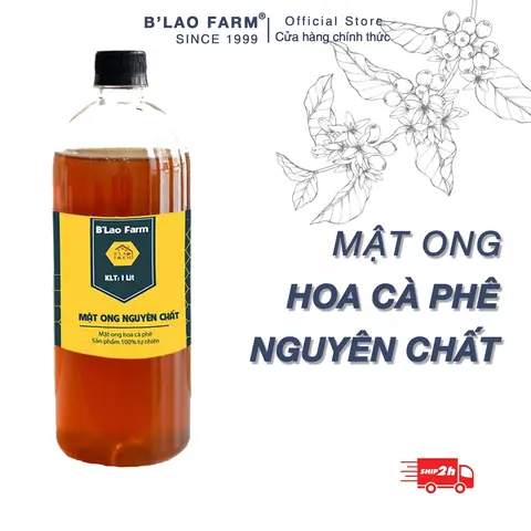 Mật Ong Nguyên Chất Hoa Cà Phê: Công Dụng, Nguồn Gốc & Cách Nhận Biết Chuẩn Mật Ong Nguyên Chất Hoa Cà Phê: Công Dụng, Nguồn Gốc & Cách Nhận Biết Chuẩn