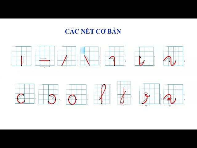 Mẫu Các Nét Cơ Bản Tập Viết Lớp 1: Hướng Dẫn Chi Tiết & Bài Tập Thực Hành