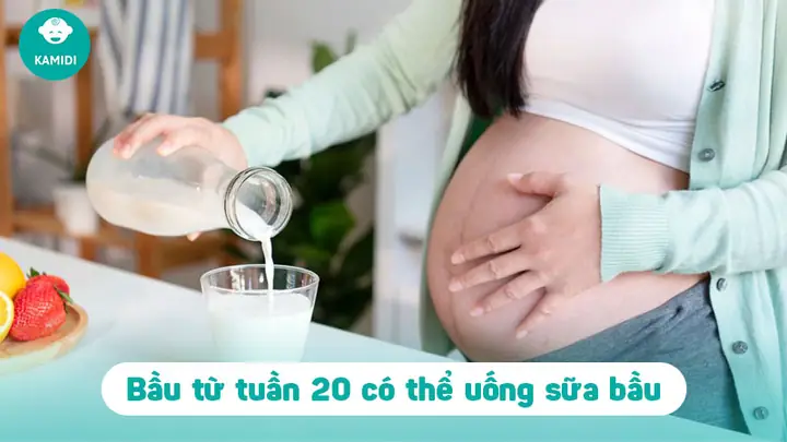 Khi Nào Nên Uống Sữa Bầu Tốt Nhất Cho Mẹ Và Thai Nhi? Khi Nào Nên Uống Sữa Bầu Tốt Nhất Cho Mẹ Và Thai Nhi?