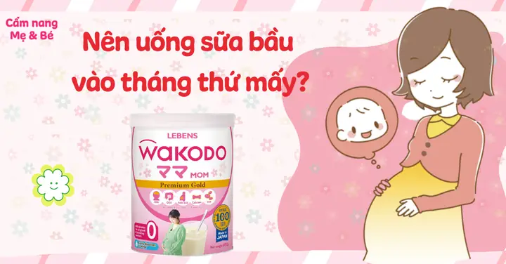 Khi Nào Nên Uống Sữa Bầu Tốt Nhất Cho Mẹ Và Thai Nhi? Khi Nào Nên Uống Sữa Bầu Tốt Nhất Cho Mẹ Và Thai Nhi?