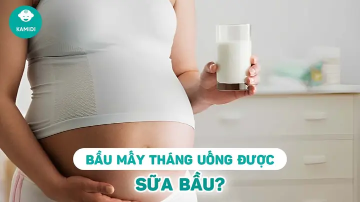 Khi Nào Nên Uống Sữa Bầu Tốt Nhất Cho Mẹ Và Thai Nhi? Khi Nào Nên Uống Sữa Bầu Tốt Nhất Cho Mẹ Và Thai Nhi?