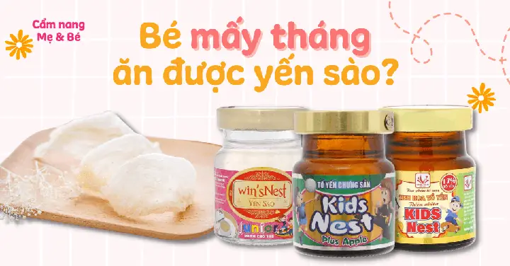 Bé Mấy Tuổi Ăn Được Yến Sào? Hướng Dẫn Chi Tiết Theo Độ Tuổi Bé Mấy Tuổi Ăn Được Yến Sào? Hướng Dẫn Chi Tiết Theo Độ Tuổi