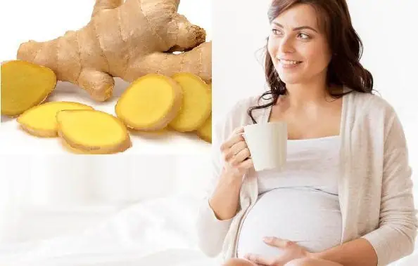 Bà Bầu Ăn Gừng Được Không? Lợi Ích, Tác Hại & Lưu Ý An Toàn