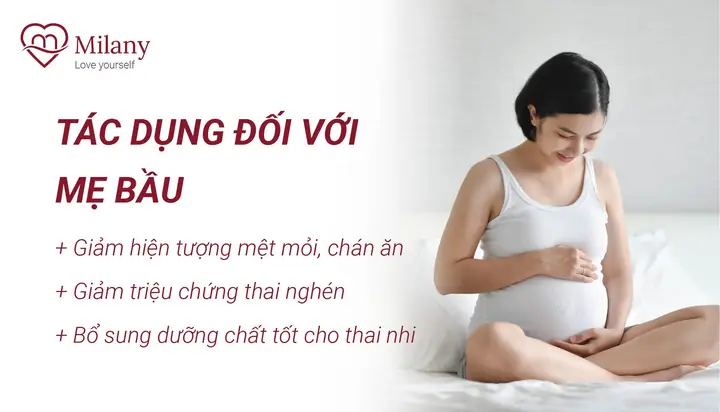 Mẹ Bầu Ăn Yến Sào Tốt Không? Lợi Ích, Thời Điểm Và Lưu Ý An Toàn Mẹ Bầu Ăn Yến Sào Tốt Không? Lợi Ích, Thời Điểm Và Lưu Ý An Toàn