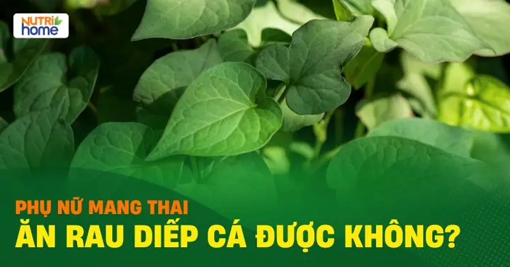 Mẹ Bầu Ăn Rau Diếp Cá Được Không? Lưu Ý Vàng & Lợi Ích Bất Ngờ Mẹ Bầu Ăn Rau Diếp Cá Được Không? Lưu Ý Vàng & Lợi Ích Bất Ngờ