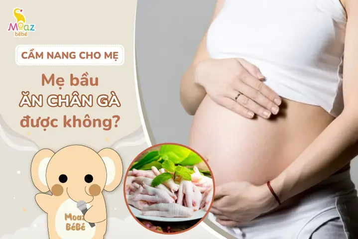 Mẹ Bầu Có Nên Ăn Chân Gà Không? Lợi Ích, Rủi Ro Và Lời Khuyên Từ Chuyên Gia Mẹ Bầu Có Nên Ăn Chân Gà Không? Lợi Ích, Rủi Ro Và Lời Khuyên Từ Chuyên Gia