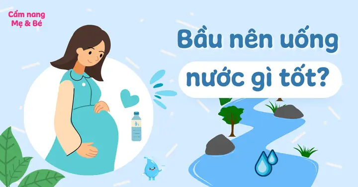 Mẹ Bầu Nên Uống Nước Gì Tốt Nhất? Tổng Hợp 9+ Thức Uống Bổ Dưỡng Cho Mẹ Và Bé