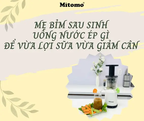 Mẹ Sau Sinh Uống Nước Ép Gì Tốt Cho Sức Khỏe, Lợi Sữa Và Giảm Cân?