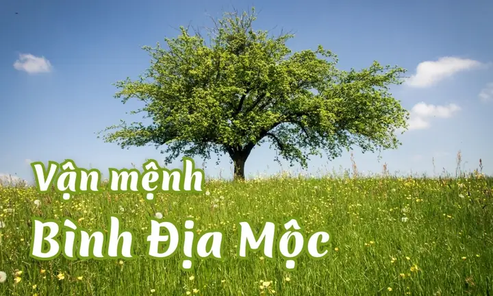 Mệnh Bình Địa Mộc Đặt Tên Gì? Hợp Phong Thủy, Ý Nghĩa May Mắn