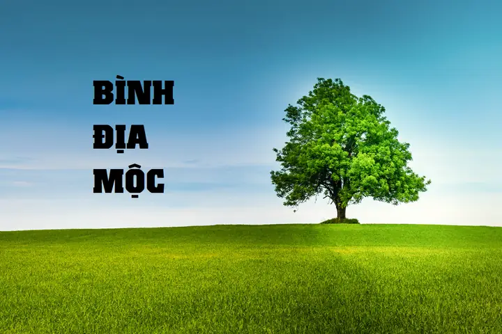 Mệnh Bình Địa Mộc Đặt Tên Gì? Hợp Phong Thủy, Ý Nghĩa May Mắn