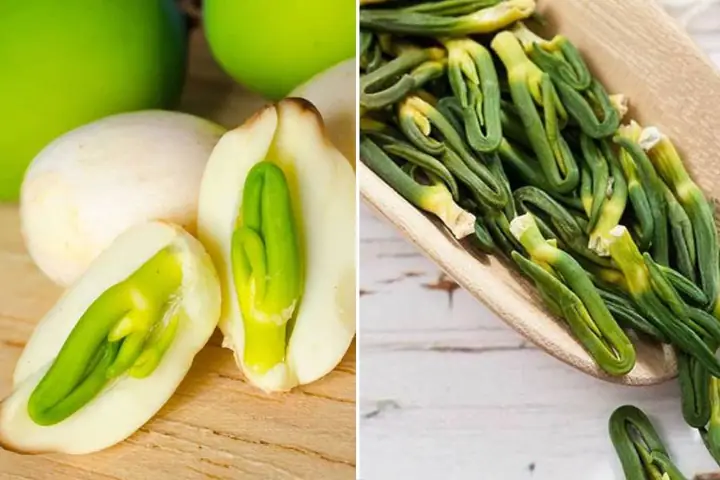 Mẹo Trị Đau Đầu An Toàn, Hiệu Quả Cho Bà Bầu Trong Thai Kỳ Mẹo Trị Đau Đầu An Toàn, Hiệu Quả Cho Bà Bầu Trong Thai Kỳ