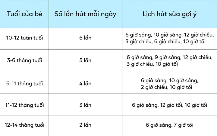 Lượng Sữa Mẹ Vắt Được Mỗi Lần Bao Nhiêu Là Chuẩn? Hướng Dẫn Chi Tiết Cho Mẹ Lượng Sữa Mẹ Vắt Được Mỗi Lần Bao Nhiêu Là Chuẩn? Hướng Dẫn Chi Tiết Cho Mẹ