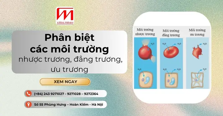 Môi Trường Ưu Trương Là Gì? Phân Biệt & Ví Dụ Minh Họa