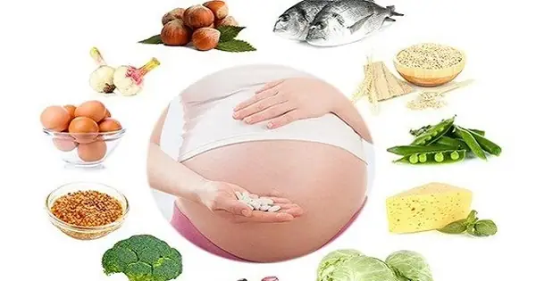 Món Ăn Tốt Cho Thai Nhi: Gợi Ý Thực Đơn Dinh Dưỡng & Lợi Ích Tuyệt Vời Cho Mẹ Bầu