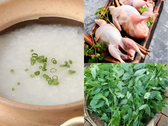 Cách Nấu Cháo Chim Bồ Câu Bổ Dưỡng Cho Bà Bầu Chuẩn Vị Thơm Ngon Tại Nhà
