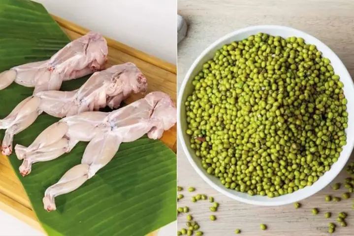Nấu Cháo Ếch Cho Bé 8 Tháng: Công Thức Thơm Ngon, Chuẩn Vị, Bé Ăn Ngon Miệng Nấu Cháo Ếch Cho Bé 8 Tháng: Công Thức Thơm Ngon, Chuẩn Vị, Bé Ăn Ngon Miệng