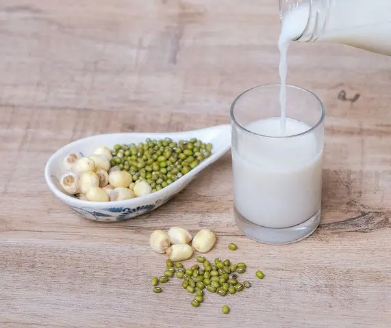 Nấu Sữa Hạt Sen Với Gì Ngon Bổ Dưỡng Nhất: 10+ Công Thức Mix Bí Truyền