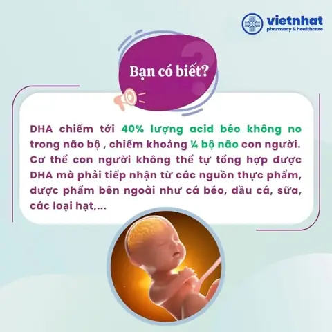 Khi Nào Nên Bổ Sung Dha Cho Bé Và Mẹ Bầu? Tối Ưu Thời Điểm Vàng