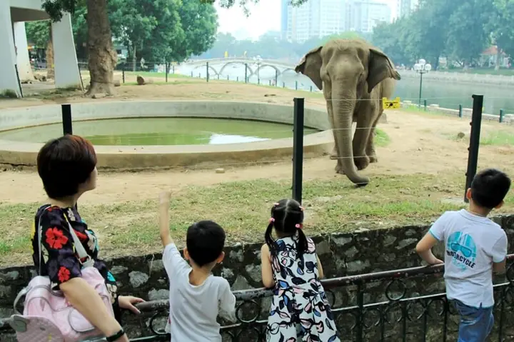 Nên Cho Bé Đi Chơi Ở Đâu Hà Nội? Top 20+ Địa Điểm Vui Chơi Bé Thích Mê Nên Cho Bé Đi Chơi Ở Đâu Hà Nội? Top 20+ Địa Điểm Vui Chơi Bé Thích Mê