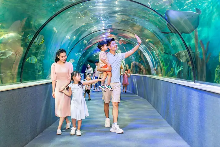 Nên Cho Bé Đi Chơi Ở Đâu Hà Nội? Top 20+ Địa Điểm Vui Chơi Bé Thích Mê Nên Cho Bé Đi Chơi Ở Đâu Hà Nội? Top 20+ Địa Điểm Vui Chơi Bé Thích Mê