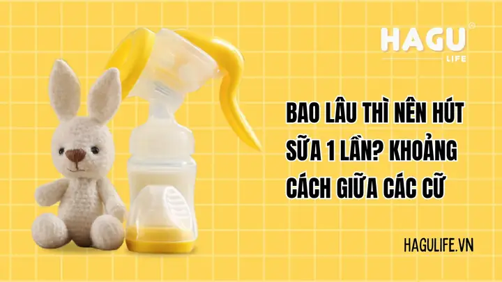 Nên Hút Sữa Bao Lâu Một Lần Để Đảm Bảo Nguồn Sữa Mẹ Dồi Dào?