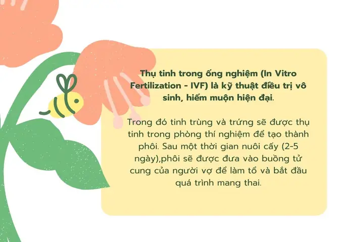 Nên Làm Thụ Tinh Ống Nghiệm (ivf) Ở Bệnh Viện Nào Tốt Nhất Tại Việt Nam?