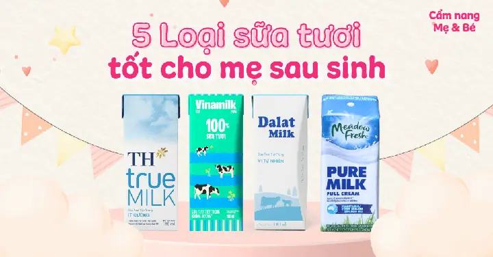 Nên Uống Sữa Gì Sau Khi Sinh? Lợi Sữa, Dinh Dưỡng Cho Mẹ & Bé Nên Uống Sữa Gì Sau Khi Sinh? Lợi Sữa, Dinh Dưỡng Cho Mẹ & Bé
