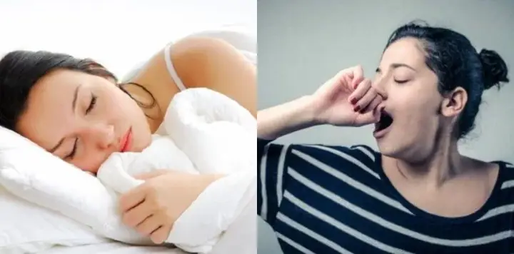 Ngáp Ngủ Nhiều Có Phải Dấu Hiệu Mang Thai Sớm Không? Giải Đáp Chi Tiết Ngáp Ngủ Nhiều Có Phải Dấu Hiệu Mang Thai Sớm Không? Giải Đáp Chi Tiết