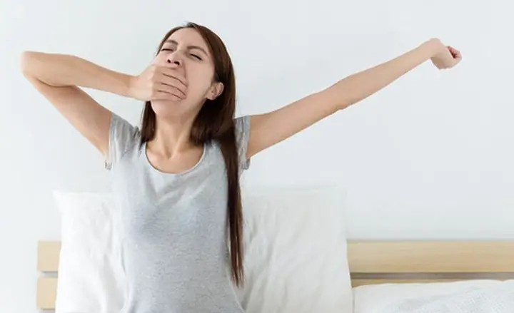 Ngáp Ngủ Nhiều Có Phải Dấu Hiệu Mang Thai Sớm Không? Giải Đáp Chi Tiết Ngáp Ngủ Nhiều Có Phải Dấu Hiệu Mang Thai Sớm Không? Giải Đáp Chi Tiết