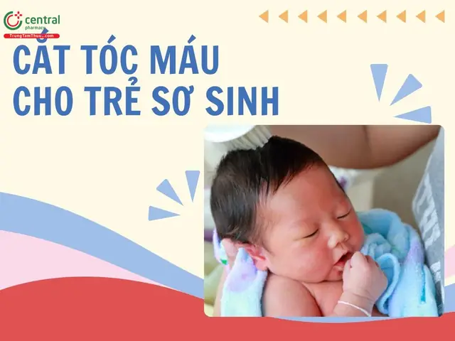 Ngày Tốt Cắt Tóc Máu Cho Bé: Chọn Ngày Mang Lại May Mắn & Khỏe Mạnh Ngày Tốt Cắt Tóc Máu Cho Bé: Chọn Ngày Mang Lại May Mắn & Khỏe Mạnh