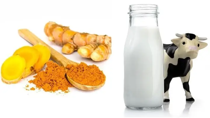 Nghệ Với Sữa Tươi Không Đường: Tác Dụng Bất Ngờ Cho Sức Khỏe & Sắc Đẹp Nghệ Với Sữa Tươi Không Đường: Tác Dụng Bất Ngờ Cho Sức Khỏe & Sắc Đẹp