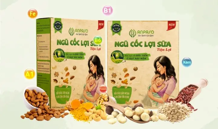 Ngũ Cốc Lợi Sữa Giảm Cân Gồm Những Gì? Thành Phần, Công Dụng & Cách Dùng Hiệu Quả