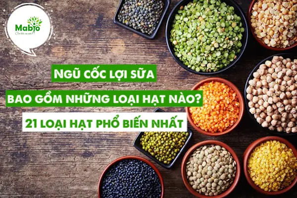 Top 10+ Loại Hạt Lợi Sữa Giúp Mẹ Bỉm Khai Thác Nguồn Sữa Dồi Dào