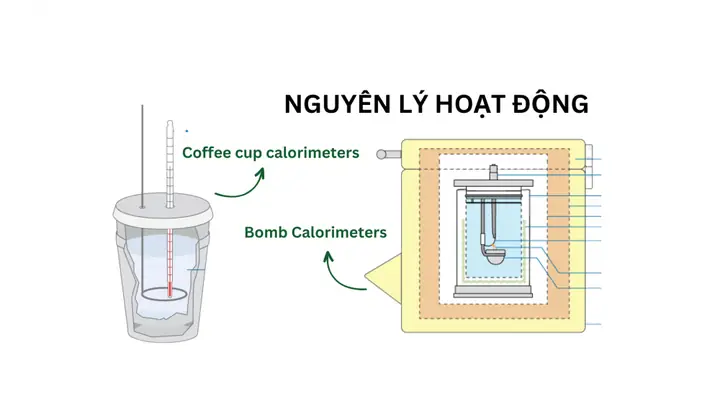 Nguyên Tắc Hoạt Động Của Nhiệt Kế: Giải Thích Chi Tiết Và Các Loại Phổ Biến Nguyên Tắc Hoạt Động Của Nhiệt Kế: Giải Thích Chi Tiết Và Các Loại Phổ Biến