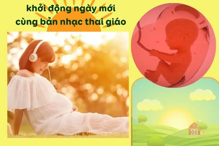Nhạc Thai Giáo 3 Tháng Cuối: Bí Quyết Tăng Cường Phát Triển Trí Não & Kết Nối Tình Mẫu Tử Cho Thai Nhi